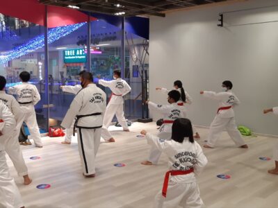 Singapore Taekwon-do Academy