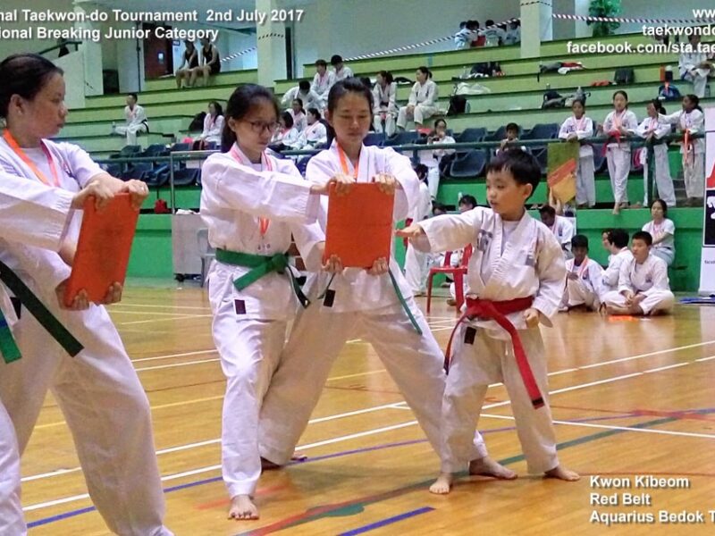 Singapore Taekwon-do Academy @ Yishun Northpoint #03-38 Little Arts Academy