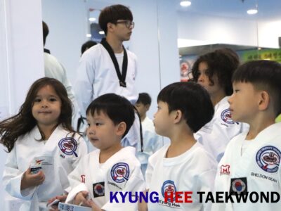 KyungHee Taekwondo (Orchard Branch)