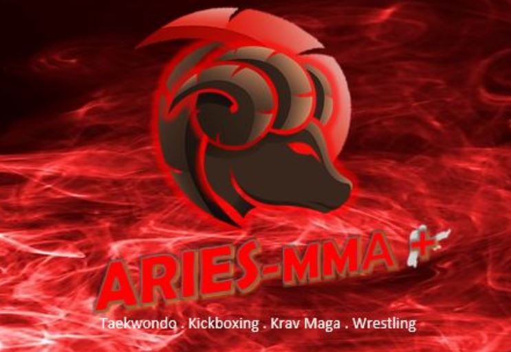 Aries Mixed Martial Arts, MMA School Singapore