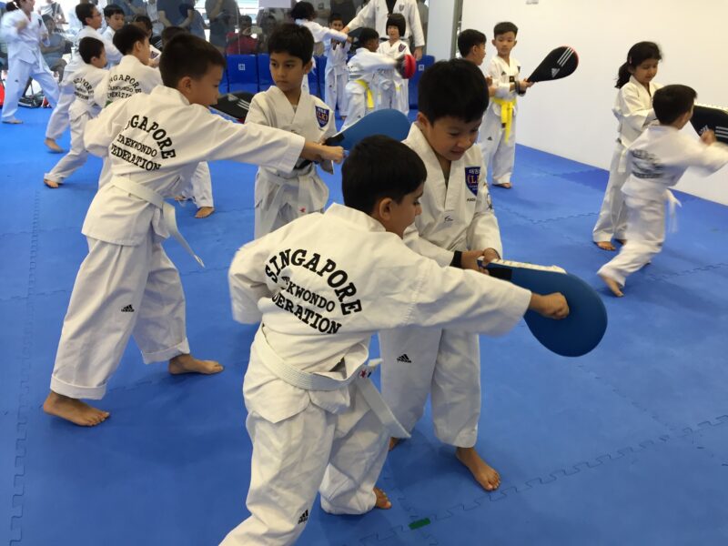 LK Taekwondo Institute (Alexandra)