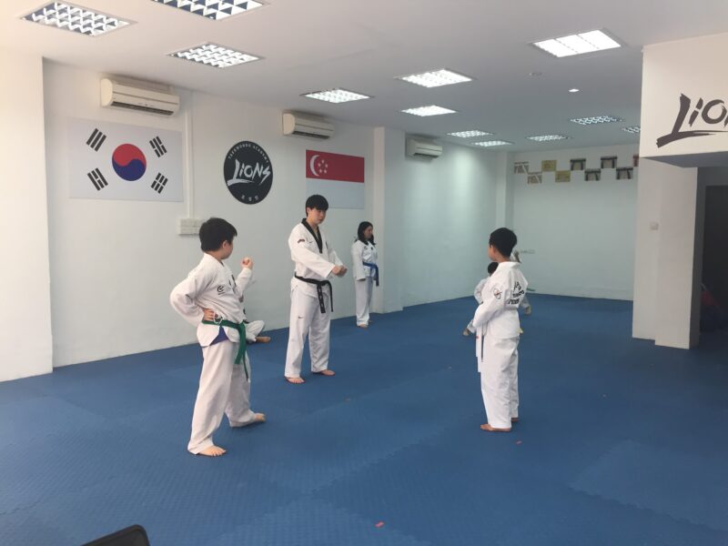 Singapore Lions Taekwondo(KIMKEAT)